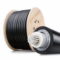 Cable de Alimentación Armado con Alambre de Acero Al/XLPE/PVC/SWA, 3C 4C 25-400mm 0.6/1kV, Cable Subterráneo de PVC
