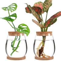 Vase de plantes hydroponiques en verre transparent avec bouchon en liège et base en bois pour la décoration de la maison