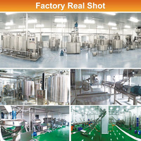 Machine industrielle de fabrication de sauce tomate MY, ligne de production de tomates en conserve, usine de transformation de la purée de tomate