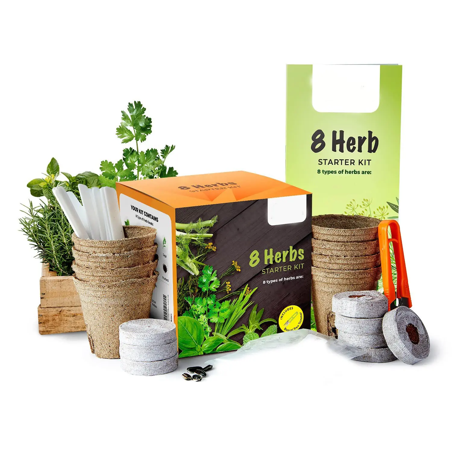 Pack de variétés d'herbes Propre kit de jardinage Cultivez facilement votre propre jardin d'herbes avec notre kit de démarrage complet pour les semis d'herbes pour débutants
