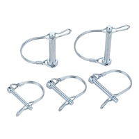 Goupilles de sécurité en acier inoxydable, à verrouillage rapide, coupleur de camion, poussette de vélo, bateau, Clip de crochet de verouillage en forme D