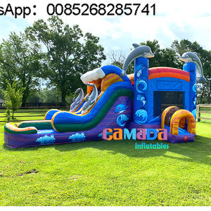 Tobogán Hinchable Comercial de PVC para Niñas, Combo de Casa de Rebote Húmeda y Seca - Product Image 1