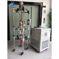 Circulateur automatique de réaction en verre borosilicaté de haute qualité 5L à double paroi avec chauffage et refroidissement par moteur pour la circulation des solvants