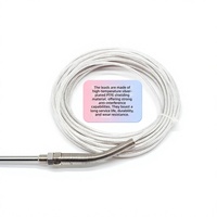 Sonde de température de style importé FX WZP-CA-187, thermocouple à filetage M8, détecteur de température à résistance PT100, Chine