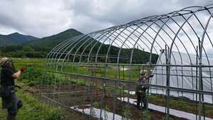 بيت زراعي كبير الحجم ذو نفق علوي لزراعة الطماطم - Product Image 4