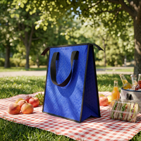 Bolsas Térmicas Reutilizables con Relieve de Puntos, Forro de Papel de Aluminio, para Alimentos, Compras y Uso Promocional