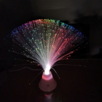 Magnifiques lumières LED à fibres optiques à changement de couleur, indice de protection IP65, alimentées par piles AAA, en plastique ABS