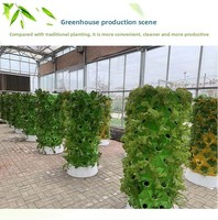 Tour d'ananas multi-trous pour plantation verticale, équipée d'un système d'irrigation hydroponique circulante pour économiser les ressources et l'espace