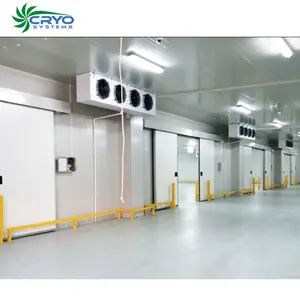 large size industrial cold freezer room cold room conservation frozen product