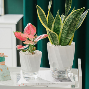 Pot de fleur auto-absorbant paresseux <span class=keywords><strong>louer</strong></span> dans le salon chambre intérieur sol rond grand pot de fleur paresseux Pot de fleur humain - Product Image 2
