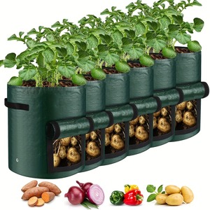 Sacs de culture respirants pour <span class=keywords><strong>jardinière</strong></span> moderne en PE résistant à l'usure peu coûteux - Product Image 1