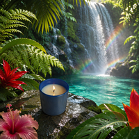 Bougie parfumée en cire de soja personnalisée avec bougie de massage naturelle à base d'huiles essentielles faites à la main