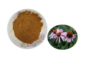 <strong>Echinacea</strong> <strong>Extract</strong> Powder Dosage Form
