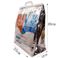 Nouveau Design Bolsa Para livraison sacs refroidisseurs en papier d'aluminium de qualité alimentaire isolation thermique pochette de livraison de Pizza fabricant chine