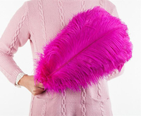 Plumes d'autruche fines teintes brutes de 45-50 cm, fournies par l'usine, en vrac pour les fêtes de carnaval et les décorations de mariage