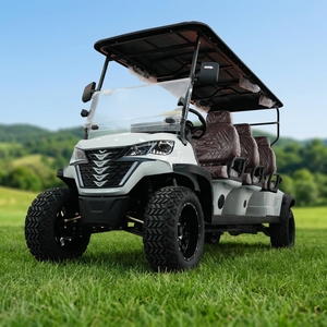 Nuovo <span class=keywords><strong>Golf</strong></span> Cart Elettrico Fuoristrada Personalizzato Color Oro, 5KW, Certificato CE/DOT EEC, in Alluminio, 4 Posti, 30-50Km/h - Product Image 2