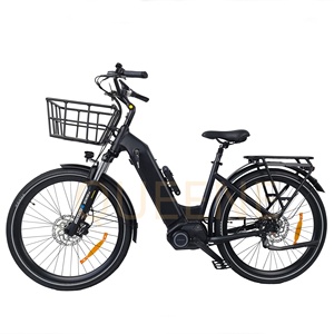 QUEENE/ Belt Drive Mid Central Motor Velo Electrique 48V <span class=keywords><strong>City</strong></span> E Bike Lady Vélo Électrique avec Nexus Inner 7 Gear - Product Image 1