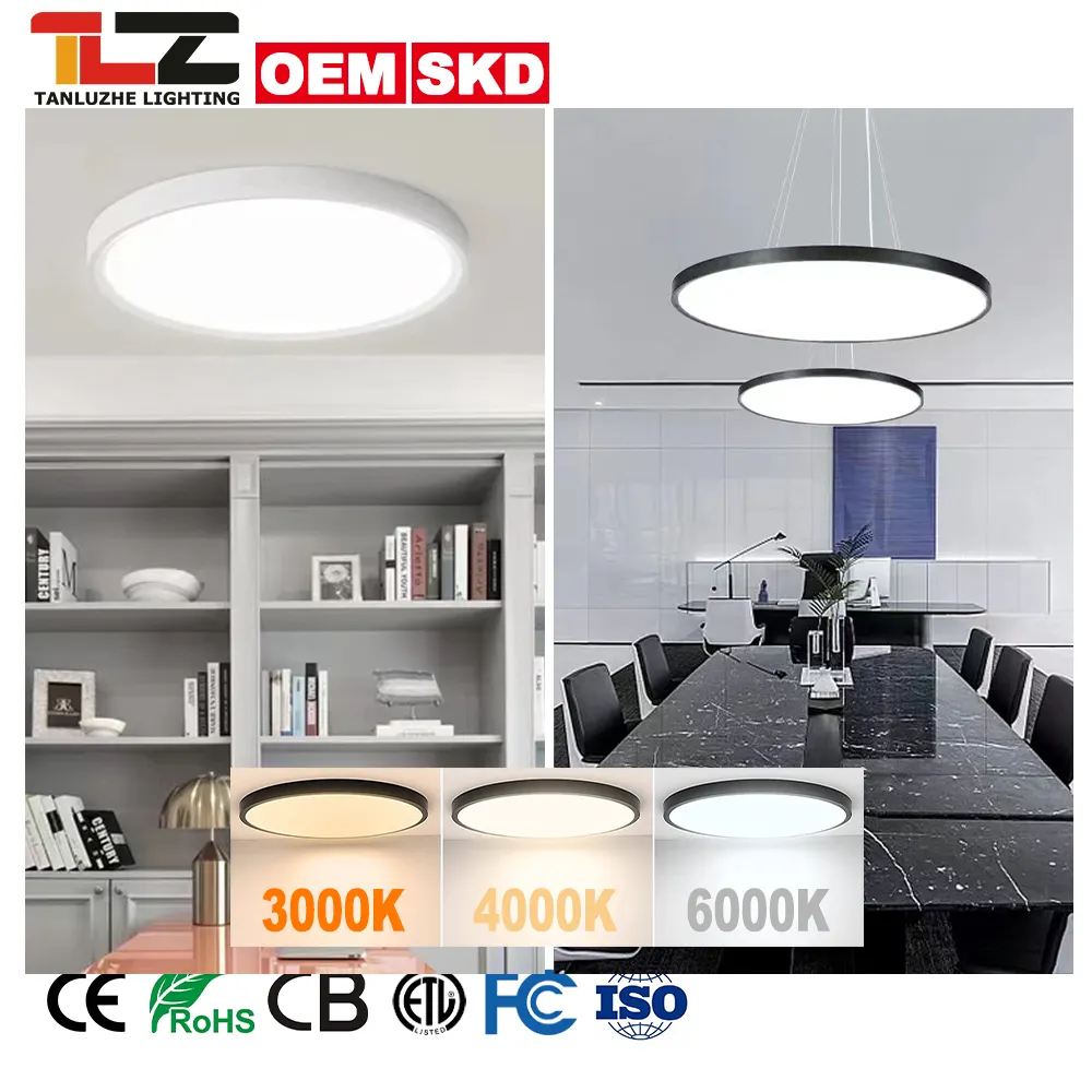 China Manufacturer White Black Ultra-Thin Ceiling Flush Mount Lamps LED Light For Home Hotel Office Round Modern Ceiling Lights