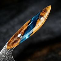 Hoogwaardig 67-laags Damascus staal VG10 kern 3,5 inch schilmesje multifunctioneel fruitmes voor keuken custom dropshipping