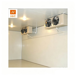 Chambre Froide pour Pommes Fraîches : Panneaux, Compresseur, Évaporateur, Groupe Frigorifique - Prix Compétitif - Product Image 6