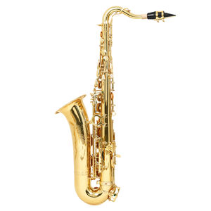 Venta directa <span class=keywords><strong>de</strong></span> fábrica SLADE <span class=keywords><strong>de</strong></span> melodía C con instrumento <span class=keywords><strong>de</strong></span> saxofón alto profesional <span class=keywords><strong>de</strong></span> doble cuello Curvo - Product Image 2