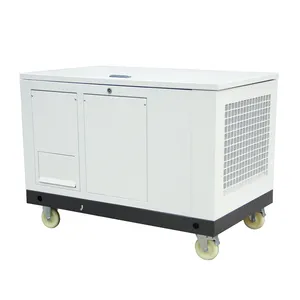 15KW โพรเพนเหลวสำรองแบบเงียบแบบพกพาเชื้อเพลิงคู่แบบ15KW 18KVA