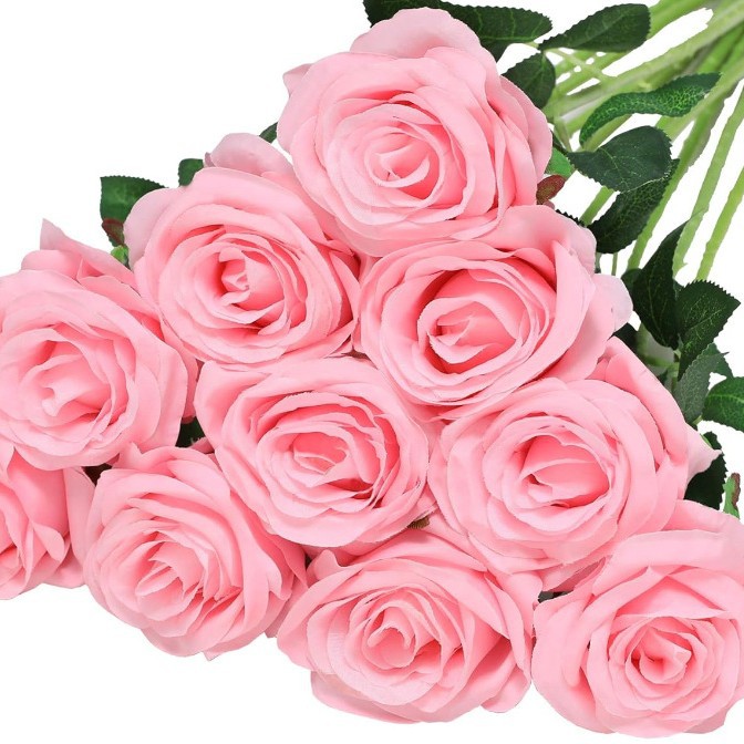Rosa singolo
