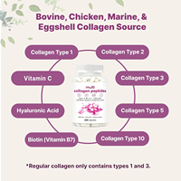 Capsules de collagène végétalien pur naturel OEM avec acide hyaluronique, biotine et vitamine C pour une peau jeune et un soutien de la longévité cutanée