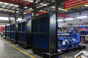 Grupo Electrógeno a Bajo Precio, Precio de Fábrica para Uso Comercial, Tecnología Silenciosa, Control de Ruido Avanzado con Silenciadores Multicapa - Product Image 3