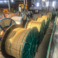 Alambre de Acero Revestido de Aluminio de Alta Resistencia para Ingeniería Eléctrica y de Comunicaciones