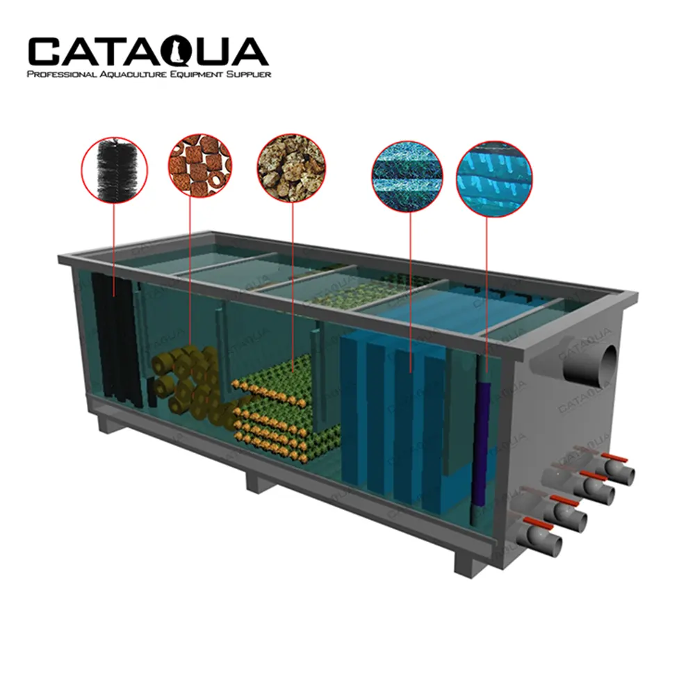 CATAQUA-estanque de peces, sistema Biofloc de Acuario, tanque de filtro biológico de plástico y agua