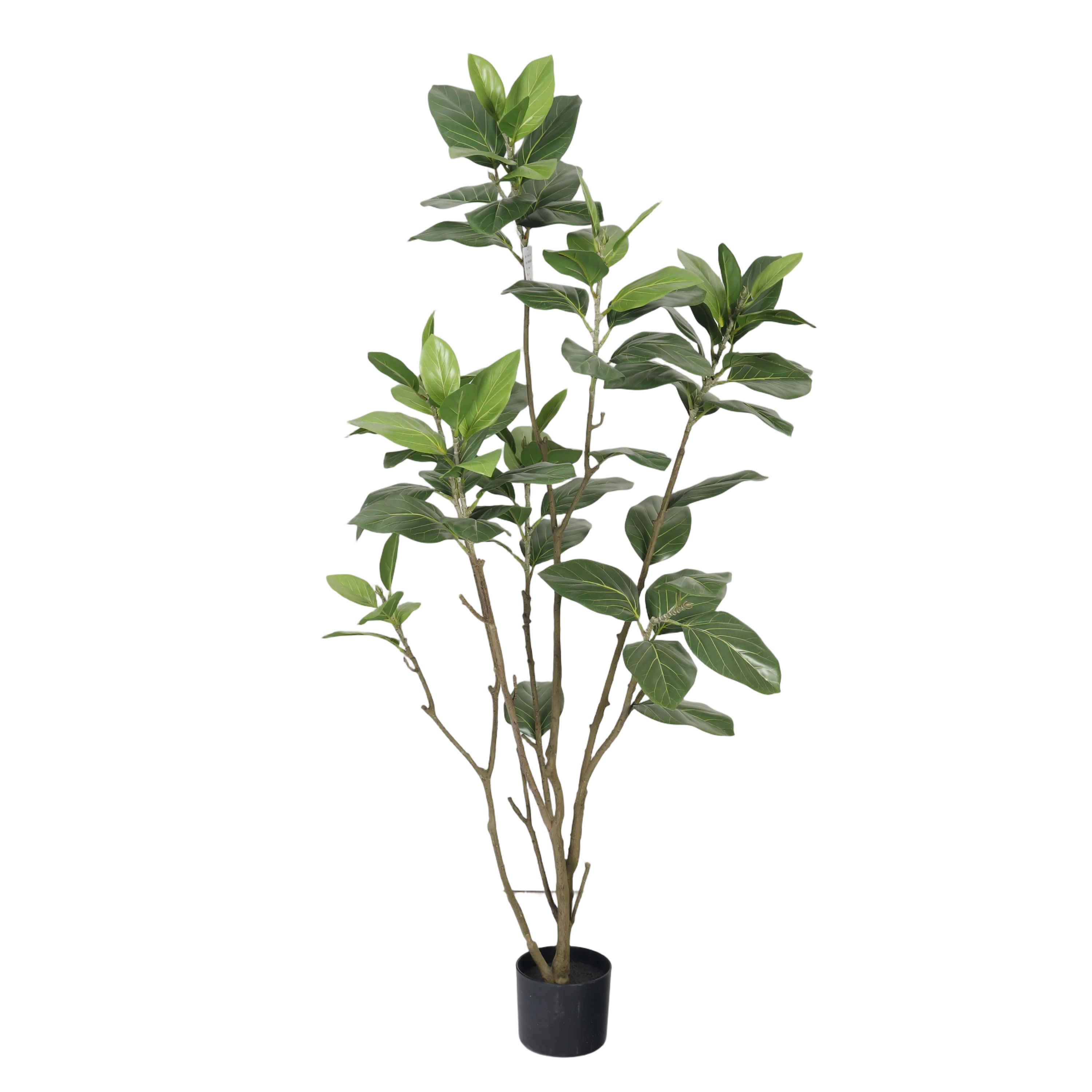 Vert 150cm
