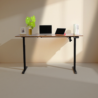 Elektrisch verstelbaar ergonomisch zit-sta bureau met USB-poorten, hoogteverstelbaar, stalen houten blad, kantoorcomputerbureau (groothandel)