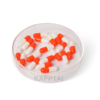 Capsules dures vides Halal Pullulan de haute qualité Taille 000 00 0 Fabriqué à partir de gélatine et HPMC Écologique Biocompatible
