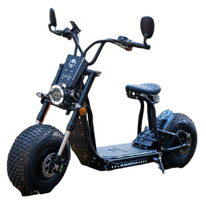 Nueva Bicicleta Eléctrica Unisex de 3000w, Scooter HD CRUISER, Scooter de Nieve de 1000w, Venta al Por Mayor - Product Image 1