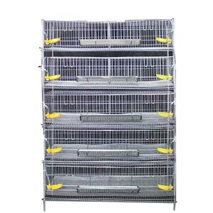 Cages d'élevage de cailles pour l'agriculture avicole, cages à batterie pour cailles pondeuses à vendre - Product Image 3