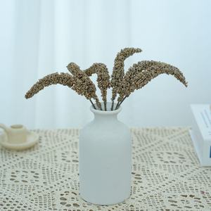 Home Decorative Luxus Interior Design White Coral Desktop Prunkstück Home Decoration für Wohnzimmer - Product Image 1