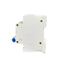 Interruptor MCB de Alto Contenido de Cobre Linziele, Interruptor de Circuito de CC de 600 V y 10 ka, DZ47-125DC, 125 A, 2 Polos, Protección IP20 con Certificación CE
