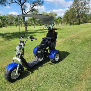 Scooter de golf électrique à 3 roues pour le marché australien, tricycle en aluminium avec batterie au lithium, GPS, pliable, étanche, longue portée - Product Image 3
