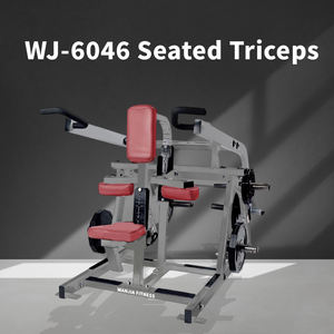 <span class=keywords><strong>Machine</strong></span> de musculation commerciale robuste et réglable pour <span class=keywords><strong>triceps</strong></span> et extensions de bras assises, avec système de charge à disques, pour l'entraînement de force, à vendre - Product Image 2