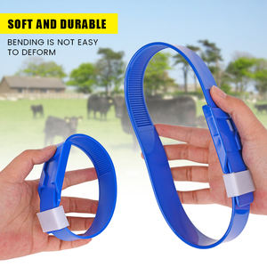 Kleurrijk Vee Id Tags Enkelband Lage Prijs Runderen Beenbanden Voetringen Te Koop - Product Image 4