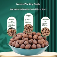 Vente en gros OEM – Gravier d'argile expansée (LECA) personnalisé avec logo, céramique expansée pour culture hydroponique, idéal pour le dropshipping