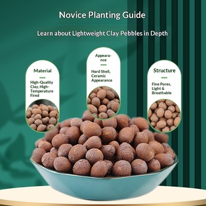 Billes d'argile expansée de qualité supérieure (LECA) pour hydroponie, galets décoratifs pour le recouvrement des plantes d'intérieur - Product Image 4