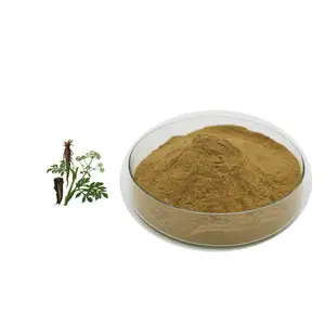2022 Wholesale High Quality Powder Angelica Sinensis Extract