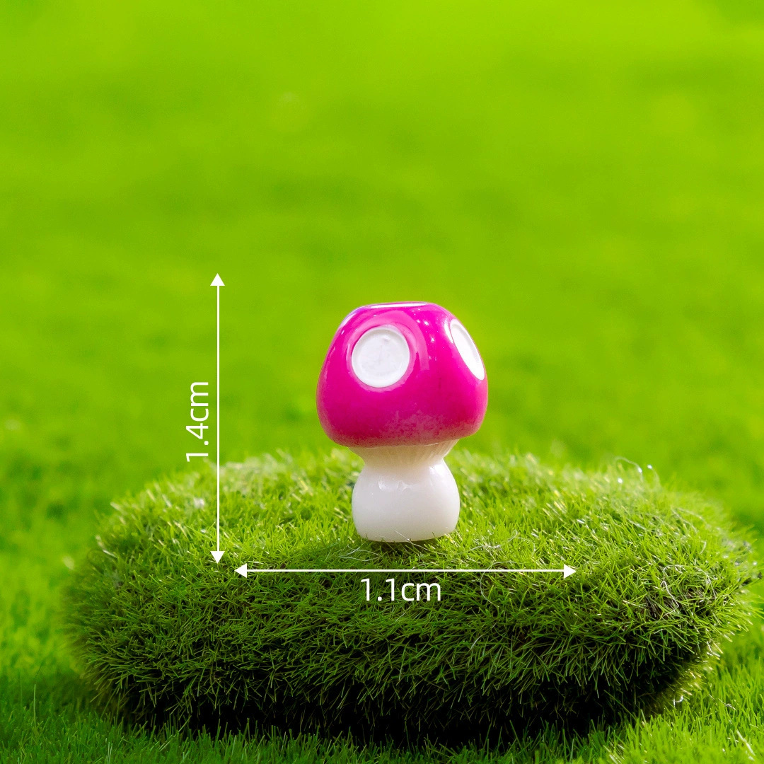mushroom 05
