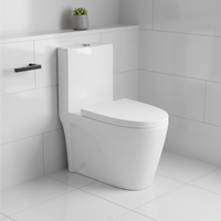 Pas cher Prix One Piece Céramique WC Toilette Sanitaire pour Salle De Bains Laver Sanitarios Toilette