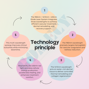 <span class=keywords><strong>Láser</strong></span> <span class=keywords><strong>de</strong></span> Diodo <span class=keywords><strong>de</strong></span> 980nm y 1470nm para Tratamiento <span class=keywords><strong>de</strong></span> Venas Varicosas EVLT, Eliminación <span class=keywords><strong>de</strong></span> Arañas Vasculares y Dispositivo <span class=keywords><strong>de</strong></span> Eliminación <span class=keywords><strong>de</strong></span> Capilares Faciales - Product Image 4