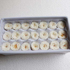 ZanTe Grosir 21 Pcs Box untuk Pembelian Grade AA 2 - 3 Cm Diawetkan Alam Nyata Tahan Lama Keabadian Austin Mawar Bunga - Product Image 5