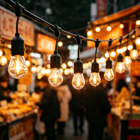 Guirlande lumineuse LED extérieure de 55 pieds avec 16 ampoules résistantes aux intempéries S14 et douilles suspendues pour décorations de patio, mariages et fêtes de Noël