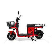 Motocicleta Eléctrica de Reparto de 1000W, Batería de Plomo-Ácido de 60V, E-bike con Doble Portaequipajes, Scooter Eléctrico para Reparto a Domicilio